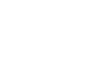 Icon Strom